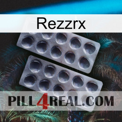 Rezzrx 31